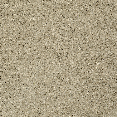 Keen Senses Ii Residential Carpet by Shaw Floors in the color Golden Rule. Sample of beiges carpet pattern and texture.