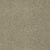 Keen Senses Ii Residential Carpet by Shaw Floors in the color Safari. Sample of beiges carpet pattern and texture.