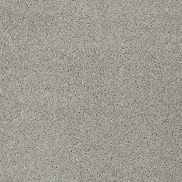 Keen Senses Ii Residential Carpet by Shaw Floors in the color Mindful. Sample of beiges carpet pattern and texture.