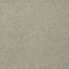 Keen Senses Ii Residential Carpet by Shaw Floors in the color Barista. Sample of beiges carpet pattern and texture.