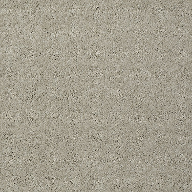 Keen Senses Ii Residential Carpet by Shaw Floors in the color Barista. Sample of beiges carpet pattern and texture.