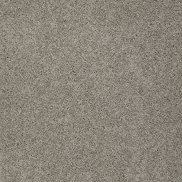 Keen Senses Ii Residential Carpet by Shaw Floors in the color Espresso. Sample of beiges carpet pattern and texture.