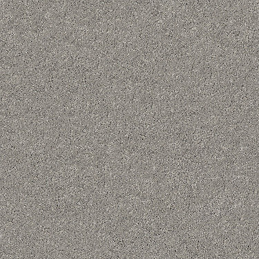 Keen Senses Ii Residential Carpet by Shaw Floors in the color Slate. Sample of grays carpet pattern and texture.