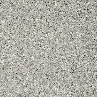 Keen Senses Ii Residential Carpet by Shaw Floors in the color Lady In Gray. Sample of grays carpet pattern and texture.