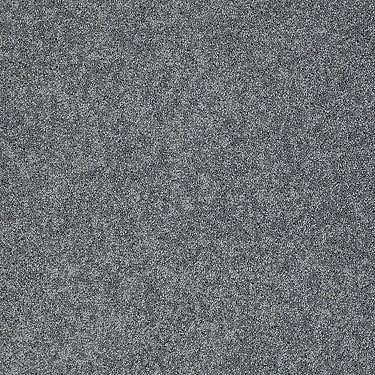 Keen Senses Ii Residential Carpet by Shaw Floors in the color Night Club. Sample of grays carpet pattern and texture.
