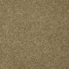Keen Senses Ii Residential Carpet by Shaw Floors in the color Warmth. Sample of browns carpet pattern and texture.