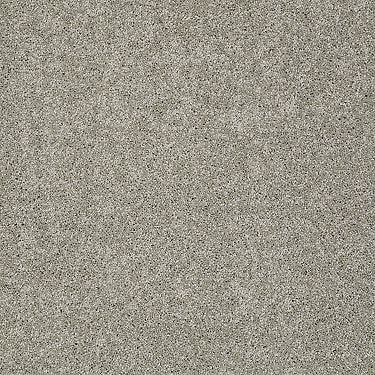 Keen Senses Ii Residential Carpet by Shaw Floors in the color Mocha. Sample of browns carpet pattern and texture.