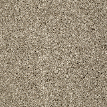 Keen Senses Ii Residential Carpet by Shaw Floors in the color Grounded. Sample of browns carpet pattern and texture.