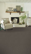 Insightful Way Residential Carpet by Shaw Floors in the color Iron Gate. Image of browns carpet in a room.