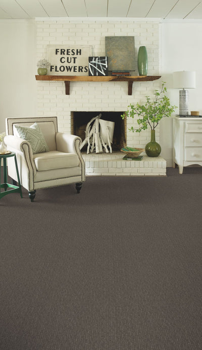 Insightful Way Residential Carpet by Shaw Floors in the color Iron Gate. Image of browns carpet in a room.