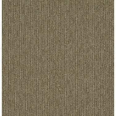 Insightful Way Residential Carpet by Shaw Floors in the color Summerville. Sample of browns carpet pattern and texture.