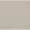 Sensible Now Residential Carpet by Shaw Floors in the color Studio Taupe. Sample of beiges carpet pattern and texture.