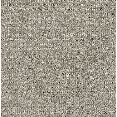 Sensible Now Residential Carpet by Shaw Floors in the color Silhouette. Sample of grays carpet pattern and texture.