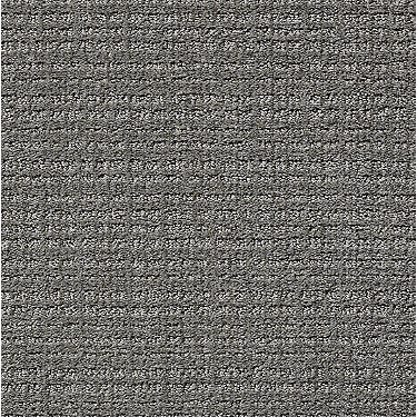 Sensible Now Residential Carpet by Shaw Floors in the color Metal. Sample of grays carpet pattern and texture.
