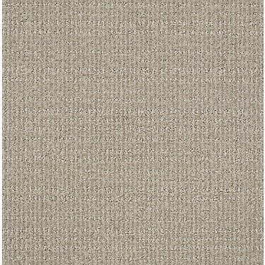 Sensible Now Residential Carpet by Shaw Floors in the color Park Avenue. Sample of browns carpet pattern and texture.