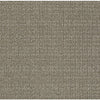 Sensible Now Residential Carpet by Shaw Floors in the color Abbey Stone. Sample of browns carpet pattern and texture.