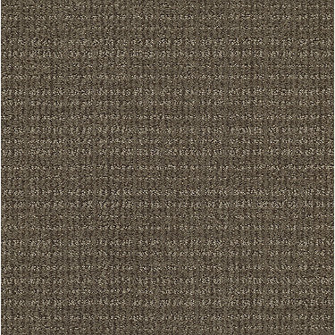 Sensible Now Residential Carpet by Shaw Floors in the color Antique Chest. Sample of browns carpet pattern and texture.
