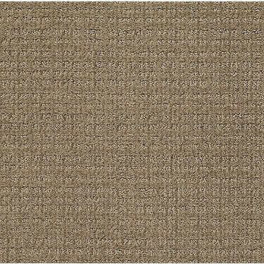 Sensible Now Residential Carpet by Shaw Floors in the color Summerville. Sample of browns carpet pattern and texture.