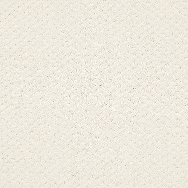 Infallible Instinct Residential Carpet by Shaw Floors in the color Crisp Linen. Sample of beiges carpet pattern and texture.