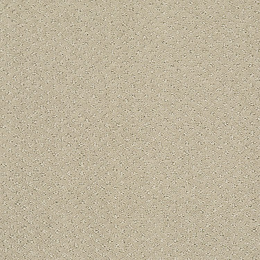 Infallible Instinct Residential Carpet by Shaw Floors in the color Studio Taupe. Sample of beiges carpet pattern and texture.