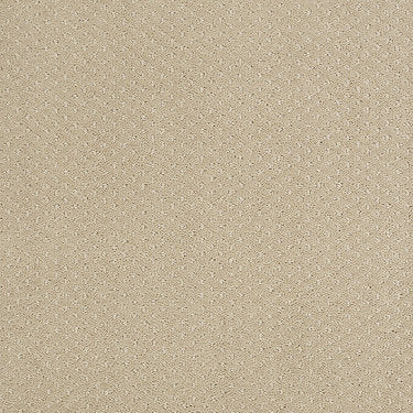 Infallible Instinct Residential Carpet by Shaw Floors in the color Soft Honey. Sample of beiges carpet pattern and texture.