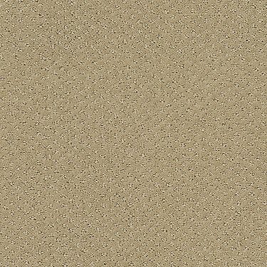 Infallible Instinct Residential Carpet by Shaw Floors in the color Biscotti. Sample of browns carpet pattern and texture.