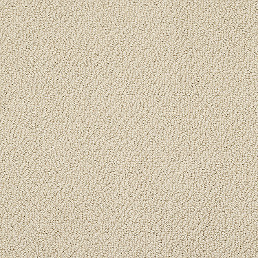 Smart Thinking Residential Carpet by Shaw Floors in the color Golden Rule. Sample of beiges carpet pattern and texture.