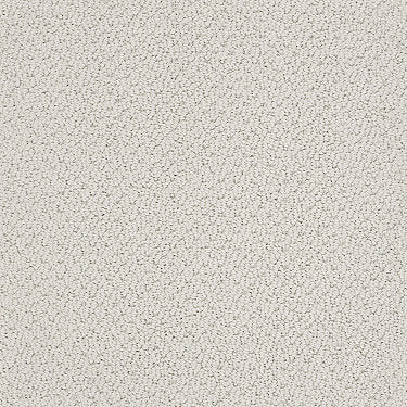 Smart Thinking Residential Carpet by Shaw Floors in the color Morning Mist. Sample of grays carpet pattern and texture.