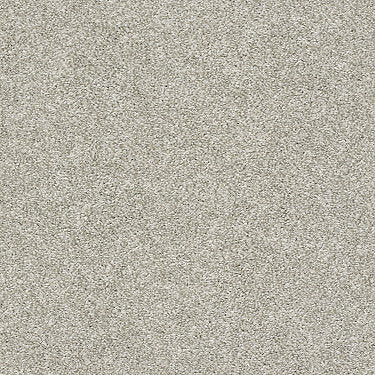 All Over It Ii Residential Carpet by Shaw Floors in the color Oatmeal. Sample of beiges carpet pattern and texture.