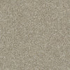 All Over It Ii Residential Carpet by Shaw Floors in the color Raw Wood. Sample of beiges carpet pattern and texture.