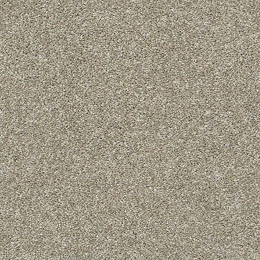 All Over It Ii Residential Carpet by Shaw Floors in the color Raw Wood. Sample of beiges carpet pattern and texture.