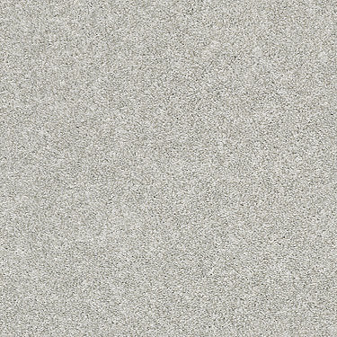 All Over It Ii Residential Carpet by Shaw Floors in the color Dove. Sample of grays carpet pattern and texture.