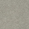 All Over It Ii Residential Carpet by Shaw Floors in the color London Fog. Sample of grays carpet pattern and texture.