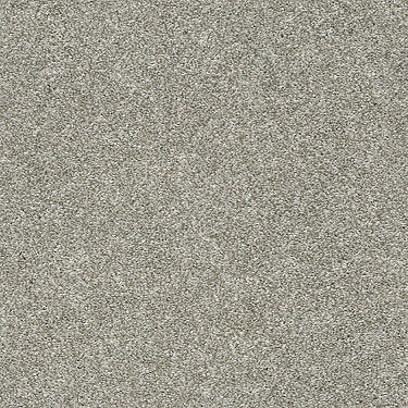 All Over It Ii Residential Carpet by Shaw Floors in the color London Fog. Sample of grays carpet pattern and texture.
