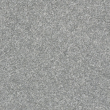 All Over It Ii Residential Carpet by Shaw Floors in the color Concrete. Sample of grays carpet pattern and texture.