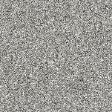 All Over It Ii Residential Carpet by Shaw Floors in the color Stone Path. Sample of grays carpet pattern and texture.