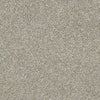 All Over It Ii Residential Carpet by Shaw Floors in the color Misty Harbor. Sample of grays carpet pattern and texture.