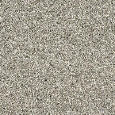 All Over It Ii Residential Carpet by Shaw Floors in the color Misty Harbor. Sample of grays carpet pattern and texture.