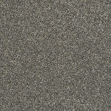 All Over It Ii Residential Carpet by Shaw Floors in the color Granite Dust. Sample of grays carpet pattern and texture.