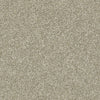 All Over It Ii Residential Carpet by Shaw Floors in the color Latte. Sample of browns carpet pattern and texture.