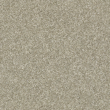 All Over It Ii Residential Carpet by Shaw Floors in the color Latte. Sample of browns carpet pattern and texture.