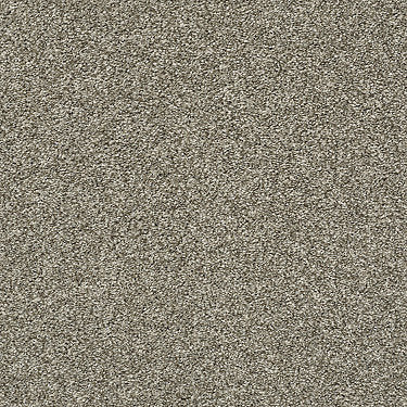 All Over It Ii Residential Carpet by Shaw Floors in the color Clay. Sample of browns carpet pattern and texture.