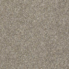 All Over It Ii Residential Carpet by Shaw Floors in the color Weathered. Sample of browns carpet pattern and texture.