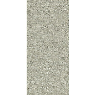 All In One Residential Carpet by Shaw Floors in the color Classic Taupe. Sample of beiges carpet pattern and texture.