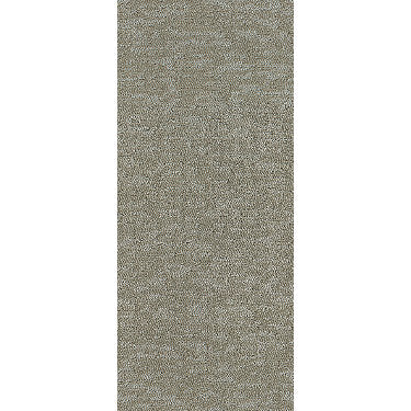 All In One Residential Carpet by Shaw Floors in the color Beach Sand. Sample of beiges carpet pattern and texture.