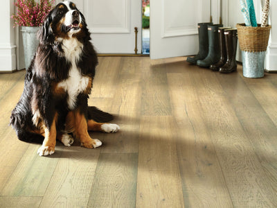 Exquisite Floorte Hardwood in the color acadia by Shaw flooring in a home, showing the finished look.