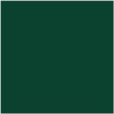 Benjamin Moore Color HC-189 Chrome Green