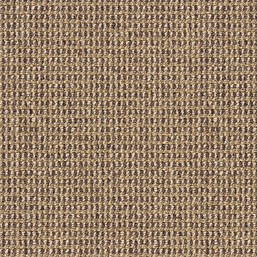 Kelsey Commercial Carpet by Philadelphia Commercial in the color Luggage. Sample of beiges carpet pattern and texture.