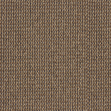 Kelsey Commercial Carpet by Philadelphia Commercial in the color Chocolate. Sample of browns carpet pattern and texture.