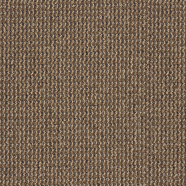 Kelsey Commercial Carpet by Philadelphia Commercial in the color Chocolate. Sample of browns carpet pattern and texture.